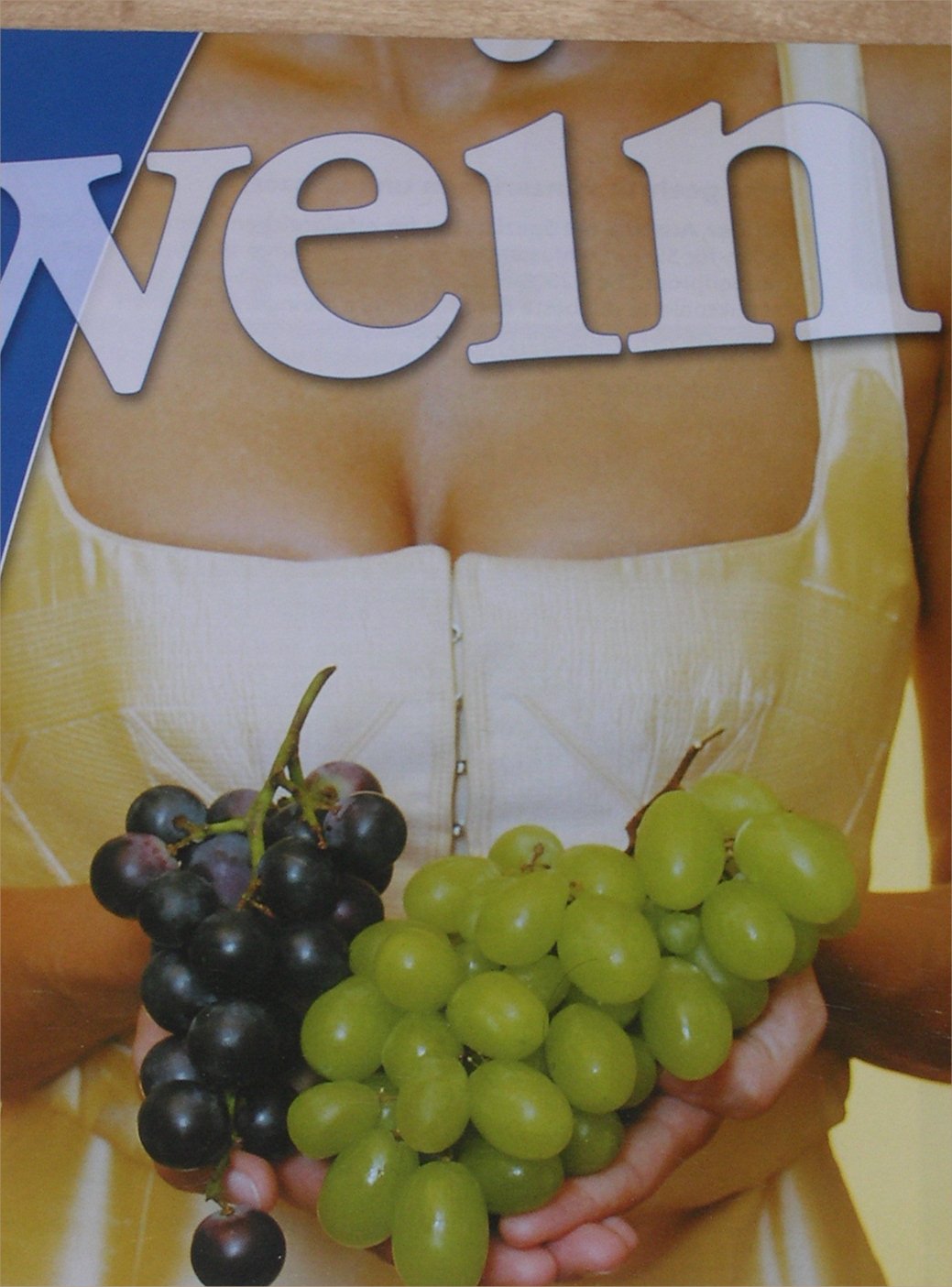 Titelblatt einer Werbebroschüre für Pflanzenschutzmittel 2008