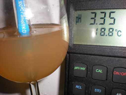 pH-Wert des Neuburgermostes 2009