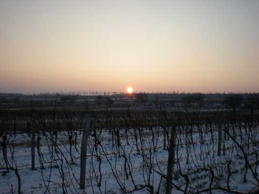 Sonnenuntergang im Winter komprimiert 2